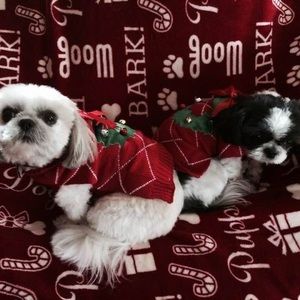 Meet your Posher, Annette